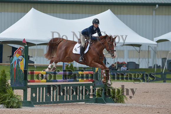 BRSa(5-17-14)HChAdJ0210