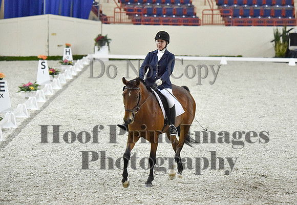 CWdressageI(8-20-16)0395