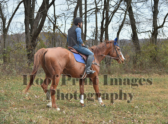 AndrewsBrHuntPace(11-10-24)0168