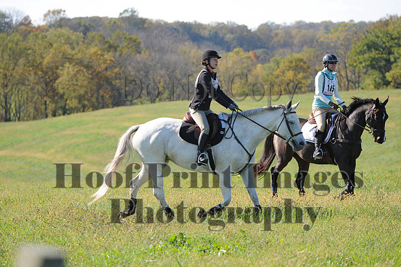 Cheshire(10-20-13)0679