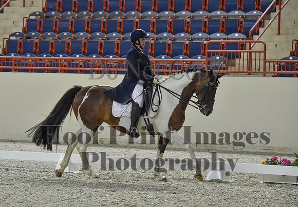 CWdressageI(8-20-16)1155