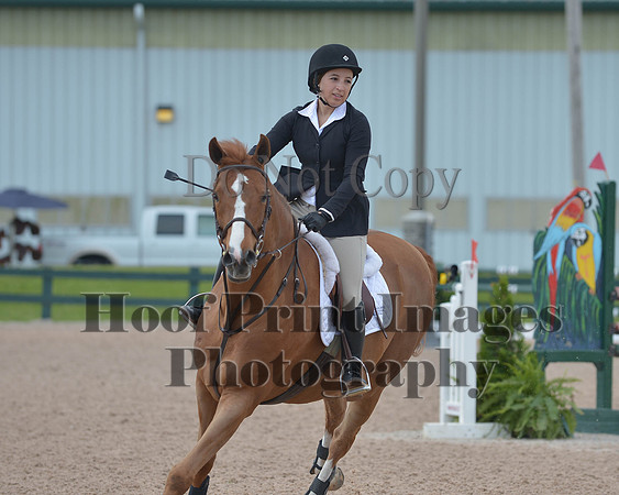 BRSa(5-17-14)HChAdJ0142
