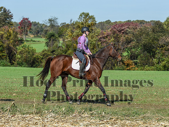 CheshirePC(10-18-20)0466