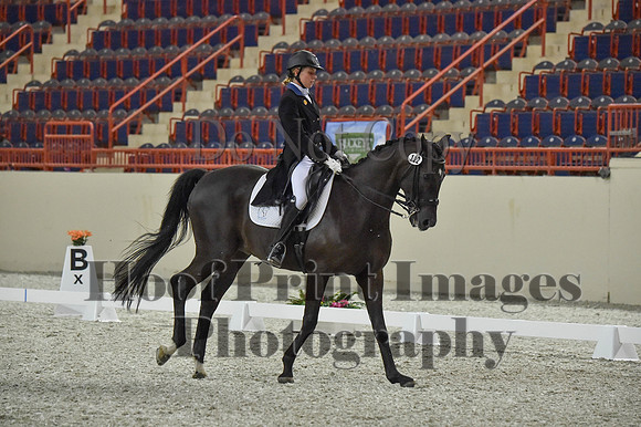 CWdressageI(8-20-16)0707