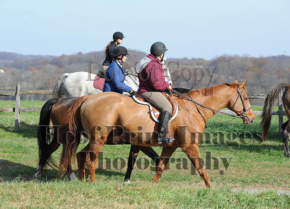 AndrewsBr(11-9-14)0249