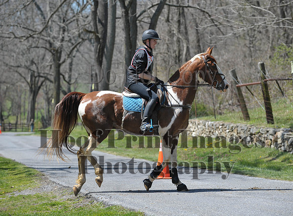 CheshirePC(4-16-16)0202