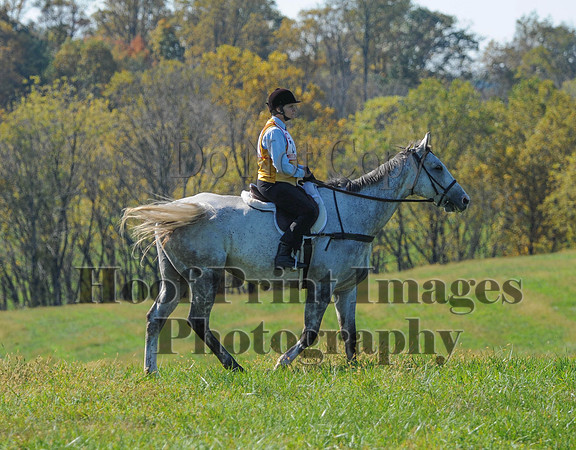 Cheshire(10-20-13)0468