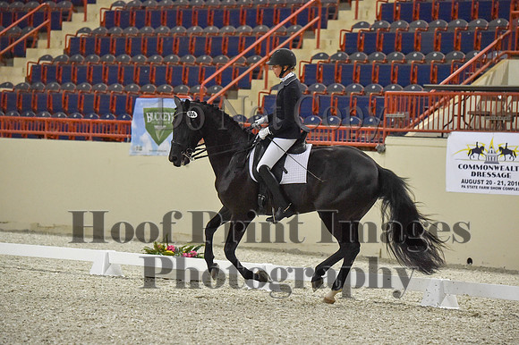 CWdressageI(8-20-16)0961