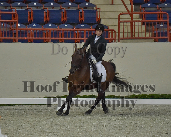 CWdressageII(8-21-16)1299
