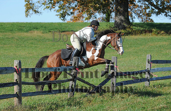 Cheshire(10-19-14)0295