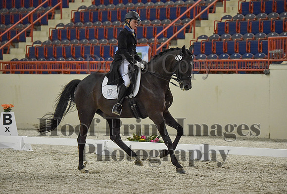 CWdressageI(8-20-16)1481