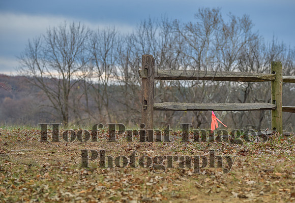 AndrewsBrHuntPace(11-10-24)0246