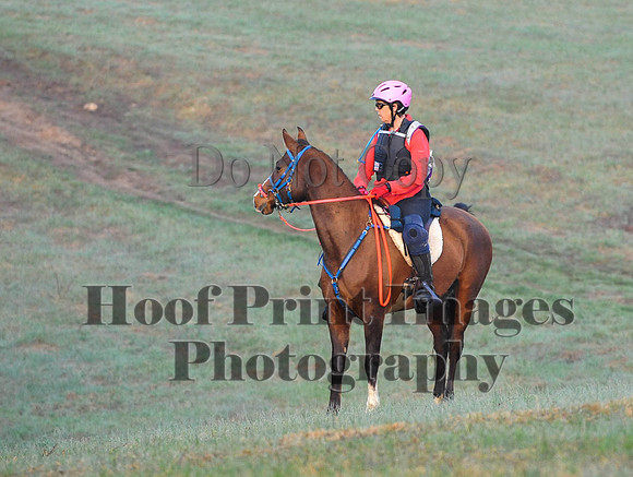 Foxcatcher(4-12-14)0174