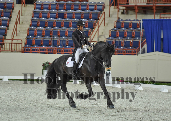 CWdressageI(8-20-16)1660