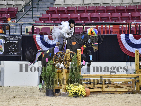 MidAtEqFest(11-14-15)1686