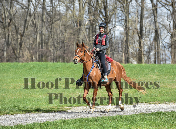ChesapeakeSpring(4-10-22)0551