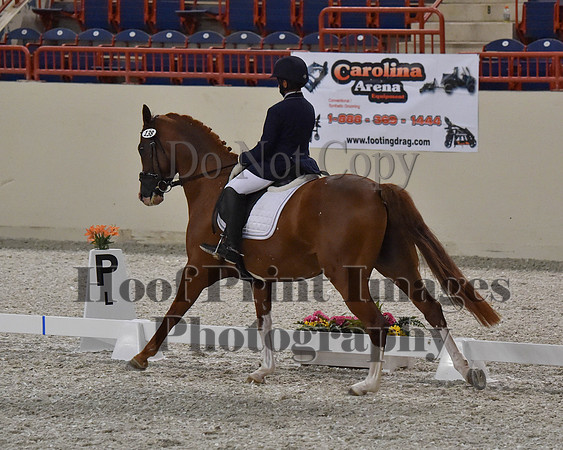 CWdressageII(8-21-16)2023