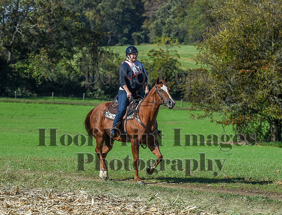 CheshirePC(10-18-20)0526