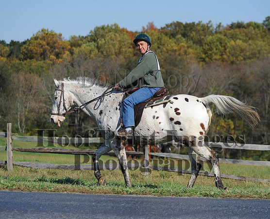 Cheshire(10-20-13)0540