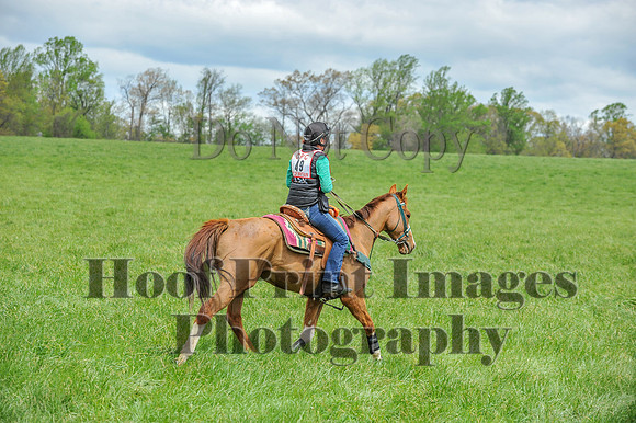 MrStewartsCheshirePC1(4-27-25)0248