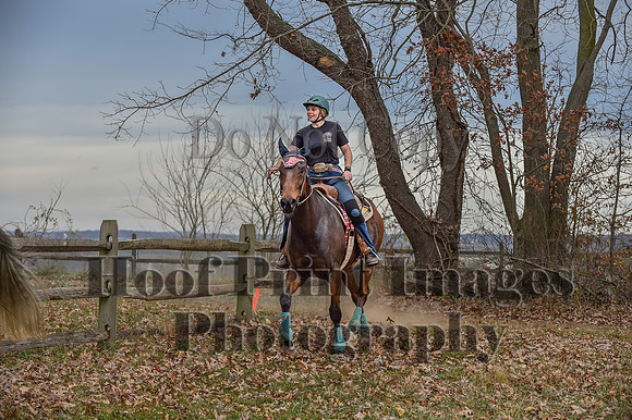 AndrewsBrHuntPace(11-10-24)0210