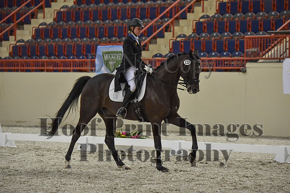 CWdressageI(8-20-16)1482