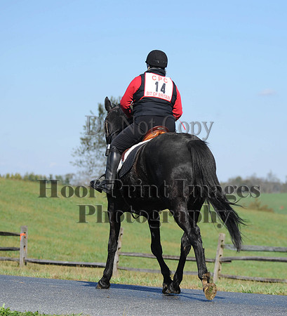 Cheshire(10-20-13)0376