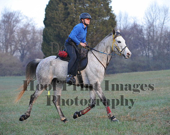 Foxcatcher(4-12-14)0109