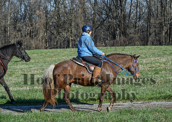 ChesapeakeSpring(4-10-22)0440
