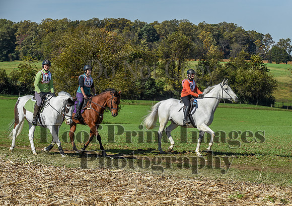 CheshirePC(10-18-20)0572