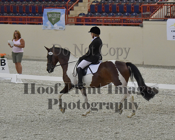 CWdressageII(8-21-16)1093