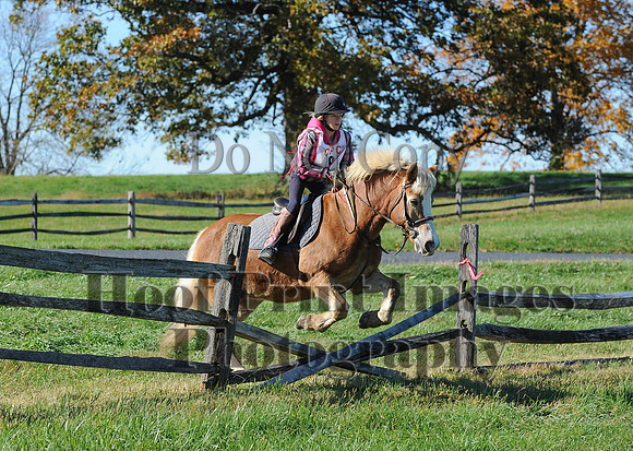 Cheshire(10-19-14)0401