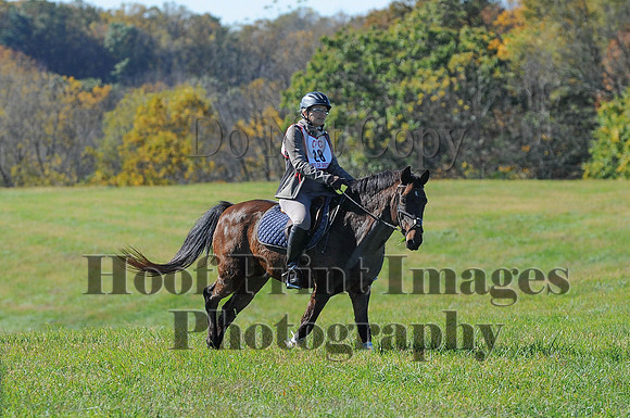 Cheshire(10-19-14)0215