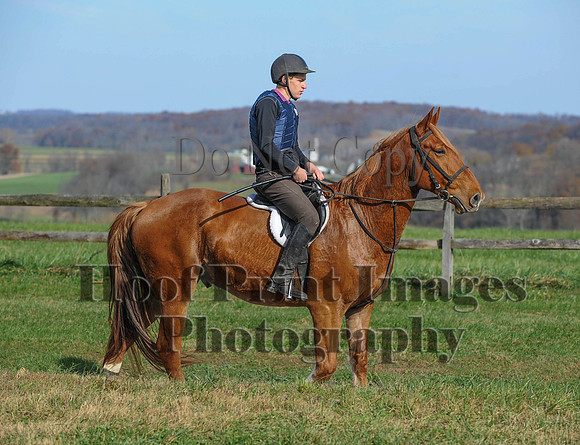 AndrewsBr(11-9-14)0347