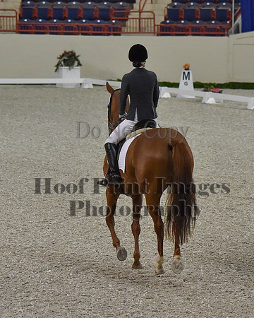 CWdressageII(8-21-16)0106
