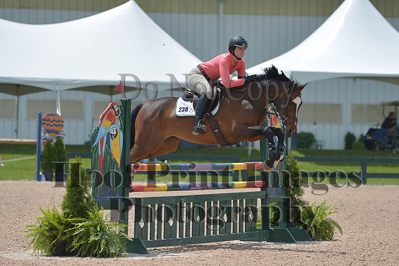 BRSa(5-17-14)HChAdJ0258