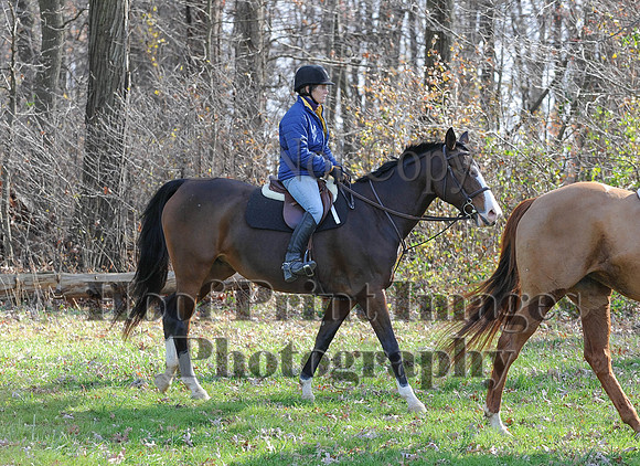 AndrewsBr(11-9-14)0259