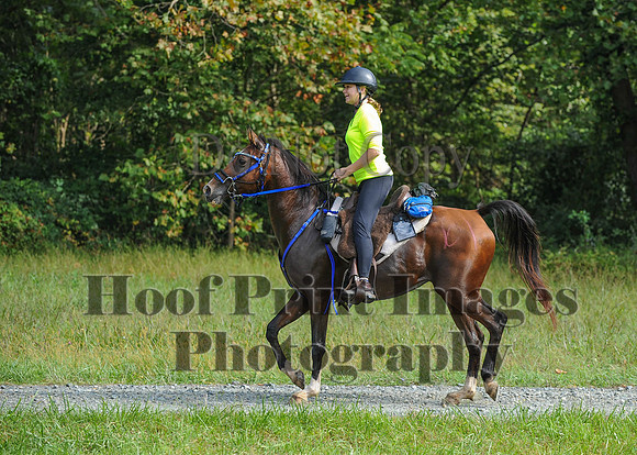 ChesapeakeCTR(9-20-14)0419