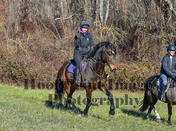 FairHillFallPC(11-30-24)0508