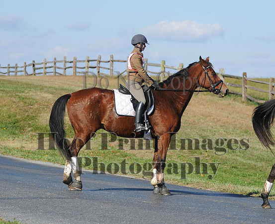 Cheshire(10-20-13)0729