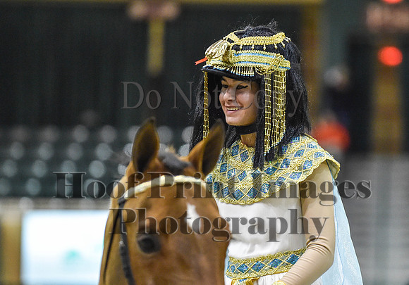 MidAtEqFest(11-14-15)1408