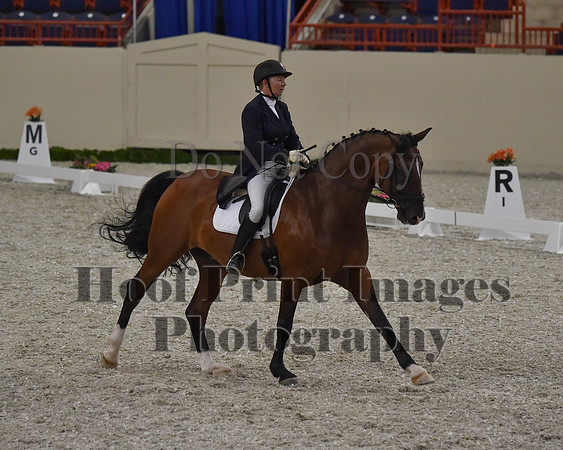 CWdressageII(8-21-16)0771