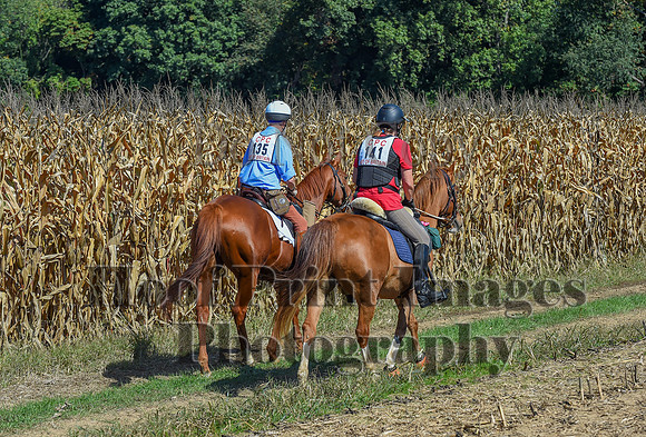 CheshirePonyClubPC(10-6-24)0643