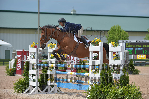 BRSa(5-17-14)HChAdJ0174