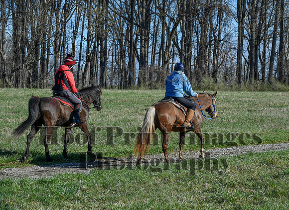 ChesapeakeSpring(4-10-22)0447
