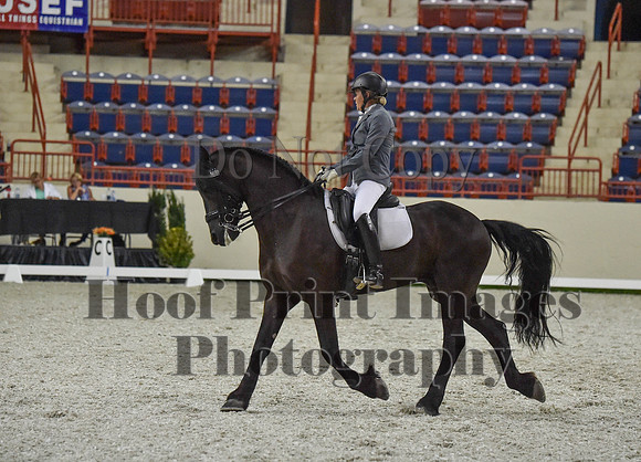 CWdressageI(8-20-16)1227
