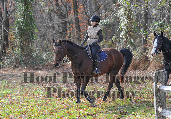 AndrewsBr(11-9-14)0576