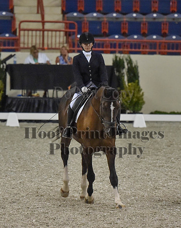 CWdressageI(8-20-16)0196