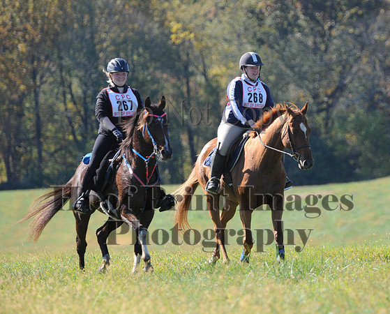 Cheshire(10-20-13)0323
