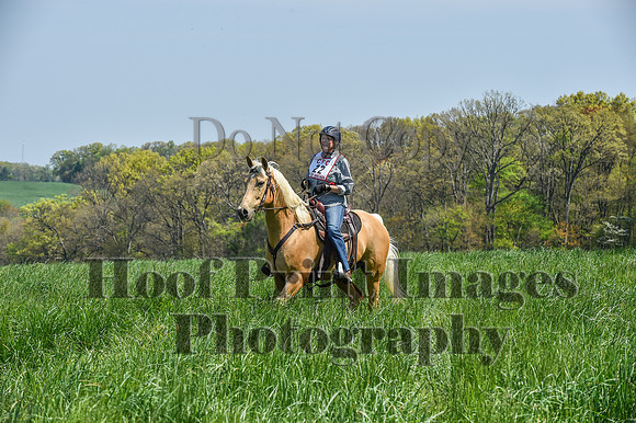 CheshireSpringPC1(4-28-24)0202